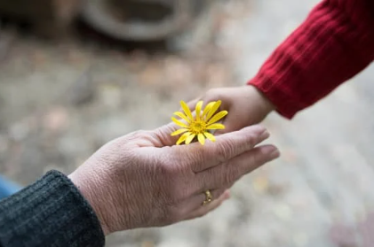 Tábor babiček s vnoučaty na Hluchové