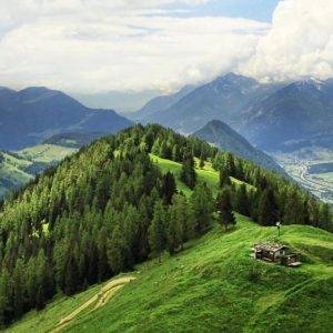 Příběhy lesa - chata Skalka