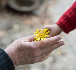 Tábor babiček s vnoučaty na Hluchové